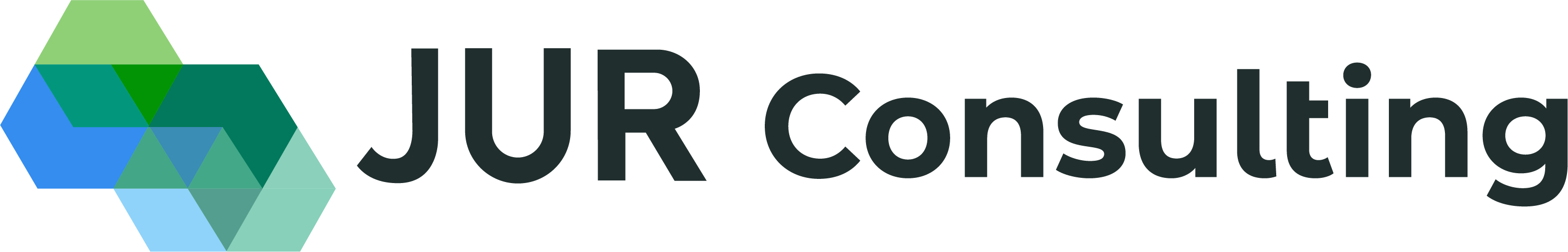 logo not found